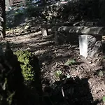 Bosque Dos Amieiros *