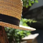 Bosque Dos Amieiros *