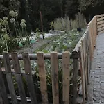 Bosque Dos Amieiros