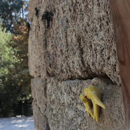 Κατάλυμα σε φάρμα Bosque Dos Amieiros