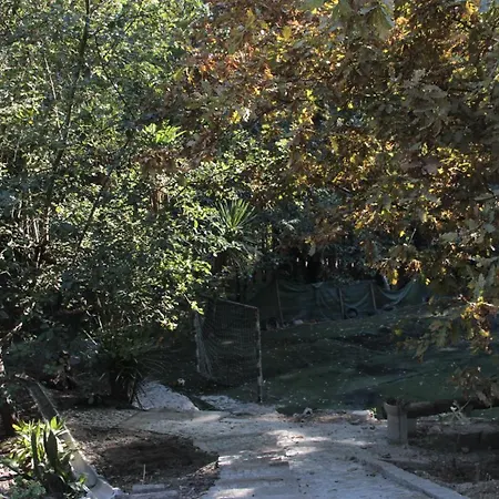 Bosque Dos Amieiros Marco de Canavezes