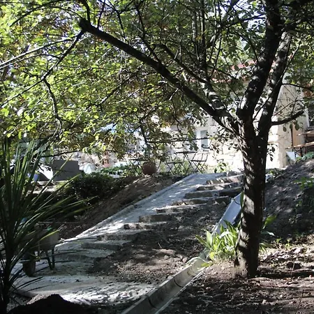 Bosque Dos Amieiros Farm stay Marco de Canaveses