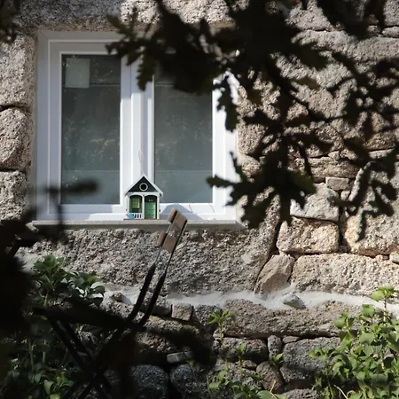 Bosque Dos Amieiros Marco de Canavezes