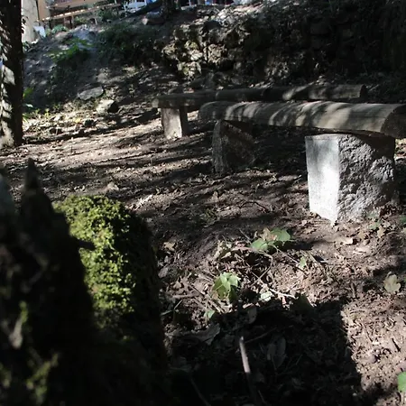 Bosque Dos Amieiros *