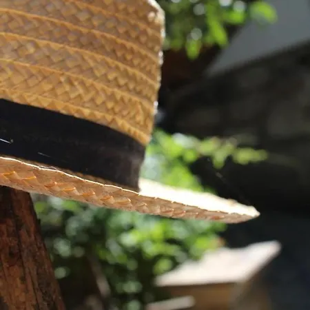 Bosque Dos Amieiros *