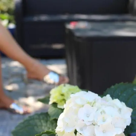 Farm stay Bosque Dos Amieiros