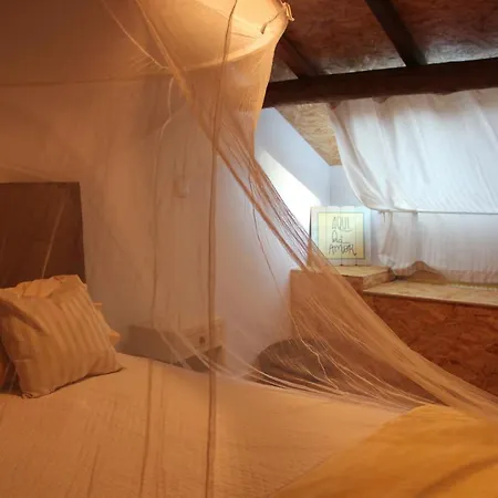 Bosque Dos Amieiros *