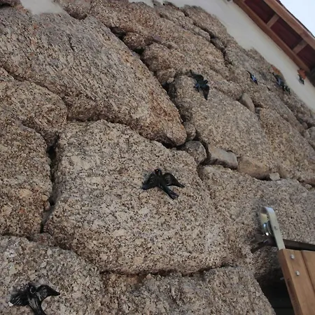 Bosque Dos Amieiros * Marco de Canaveses