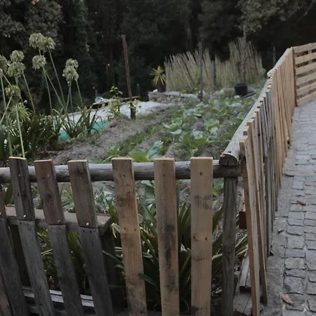 Bosque Dos Amieiros