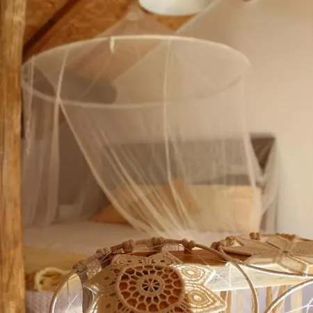 Bosque Dos Amieiros Marco de Canaveses