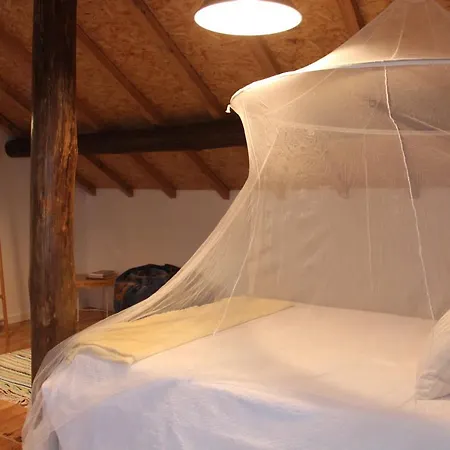 Bosque Dos Amieiros * Marco de Canavezes