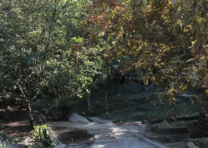 Bosque Dos Amieiros Marco de Canavezes