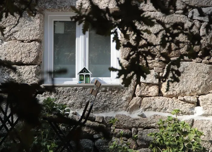 Bosque Dos Amieiros Marco de Canavezes