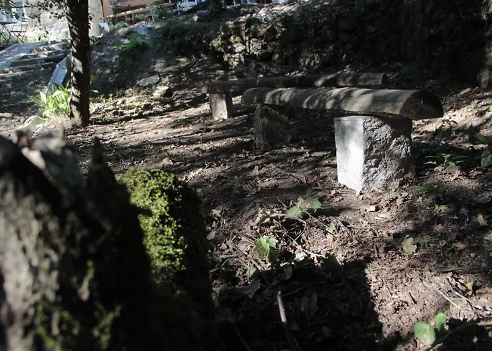 Bosque Dos Amieiros *