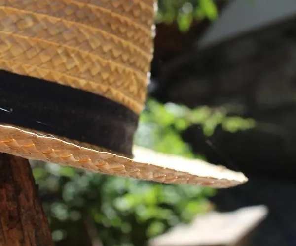 Bosque Dos Amieiros *