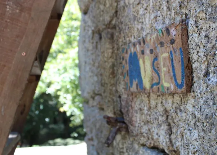 Bosque Dos Amieiros *