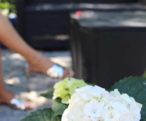 Gospodarstwo agroturystyczne Bosque Dos Amieiros