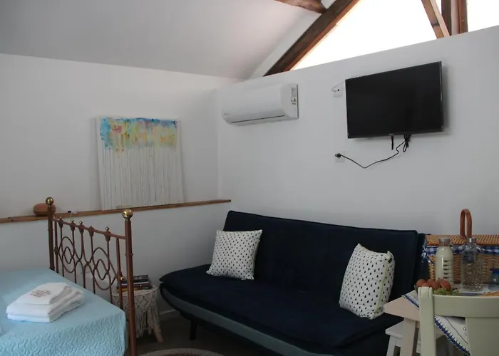 Bosque Dos Amieiros Marco de Canavezes