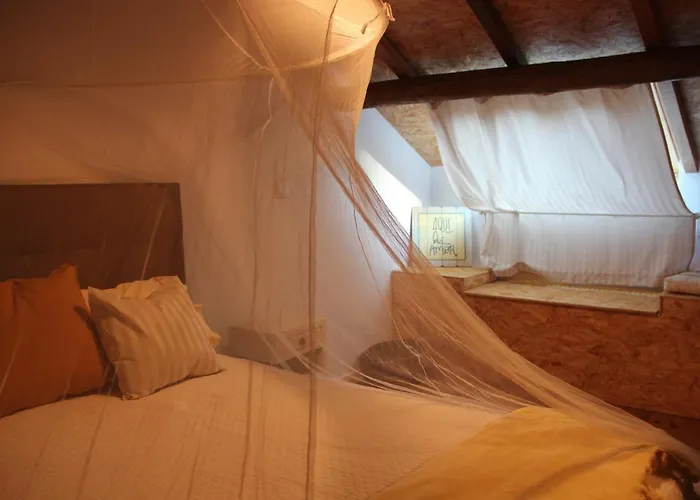 Bosque Dos Amieiros *