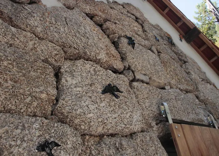 Bosque Dos Amieiros * Marco de Canavezes