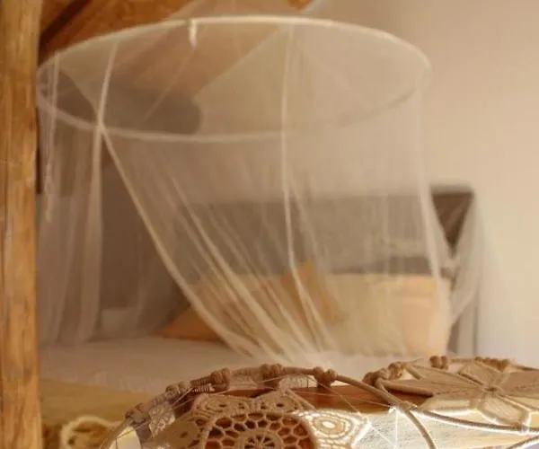 Bosque Dos Amieiros Marco de Canavezes