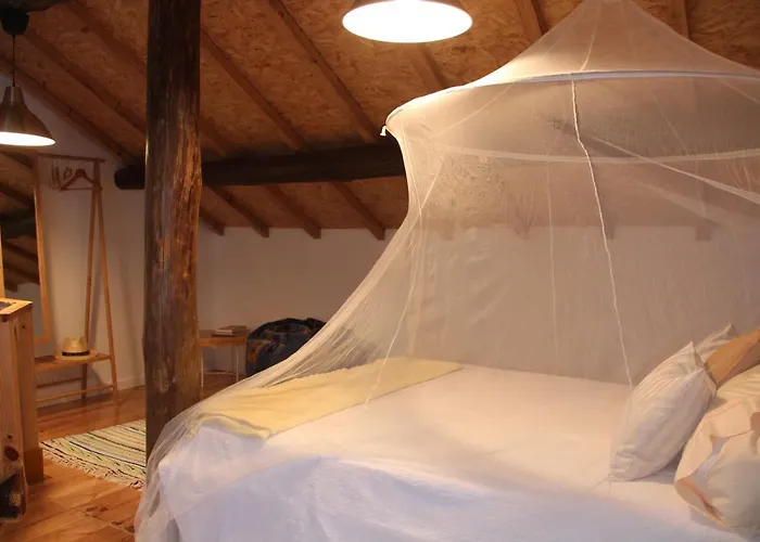 Bosque Dos Amieiros * Marco de Canavezes